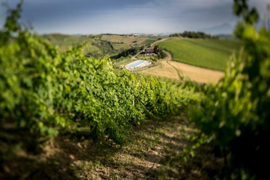 Casali Costadoro Acquaviva Picena Exterior foto
