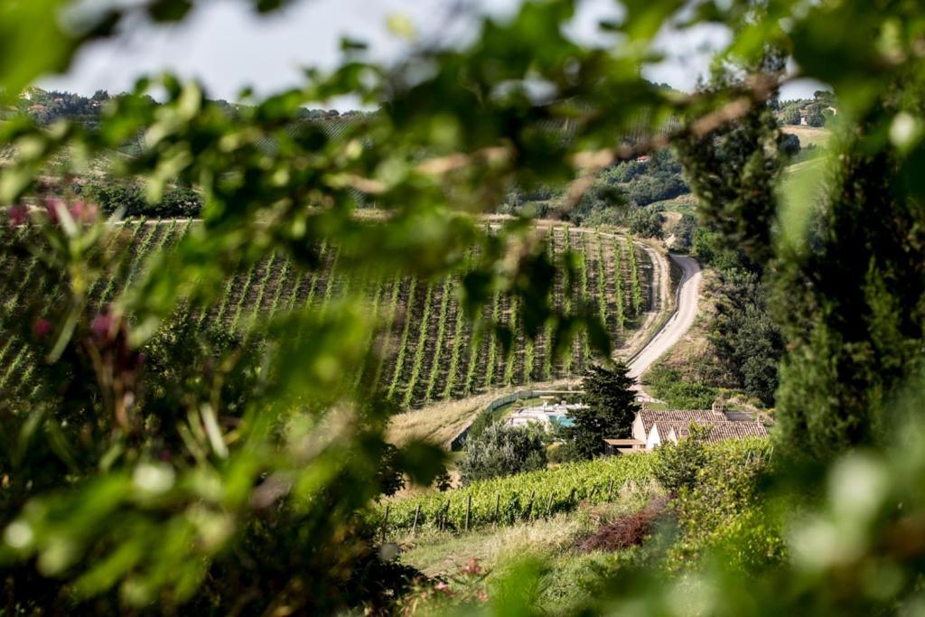 Casali Costadoro Acquaviva Picena Exterior foto